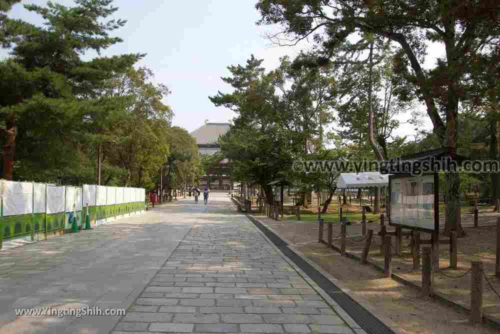YTS_YTS_20180717_Japan Kansai Nara Todai-ji日本關西奈良東大寺／世界文化遺產045_3A5A7423.jpg