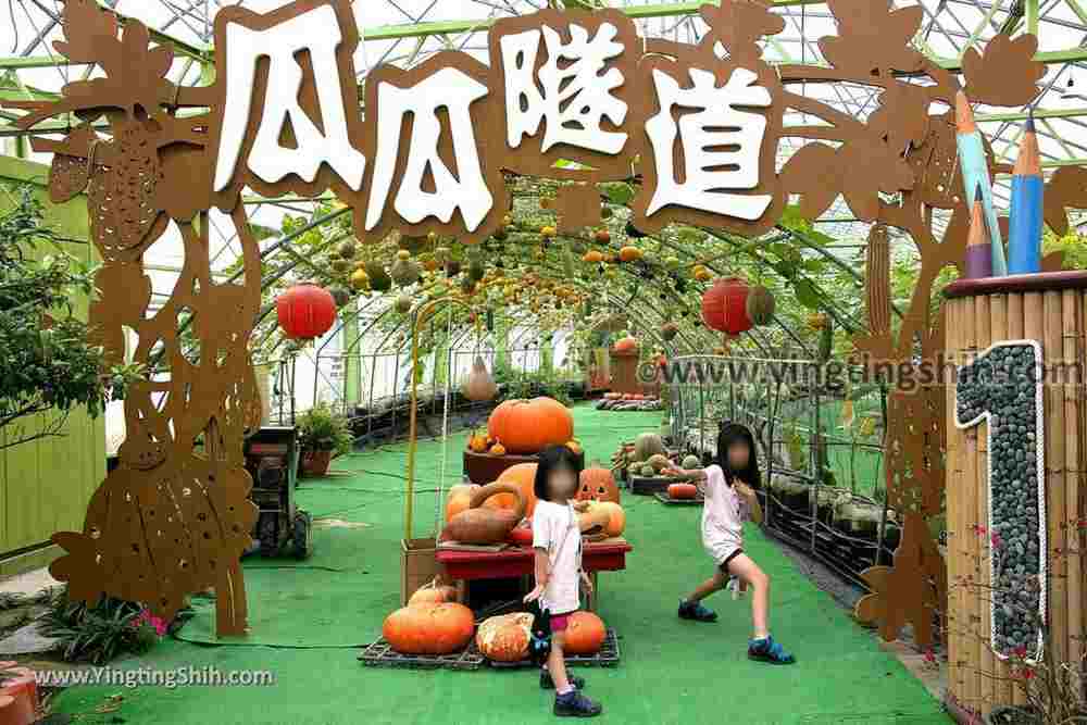 YTS_YTS_20190525_宜蘭壯圍旺山休閒農場／主題南瓜園Yilan Zhuangwei Pumpkin Farm105_539A4548.jpg