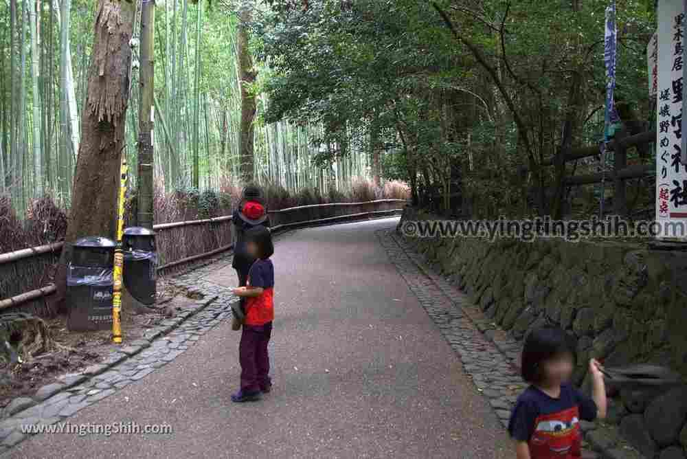 YTS_YTS_20180711_Japan Kansai Kyoto Arashiyama Bamboo Forest ／Nonomiya-Jinja Shrine 日本關西（近畿）京都嵐山竹林小徑、散策路／野宮神社004_3A5A3603.jpg
