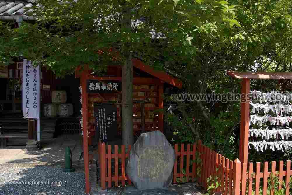 YTS_YTS_20180719_Japan Kansai Wakayama Kishu Toshogu Shrine日本關西（近畿）和歌山紀州東照宮037_3A5A3206.jpg