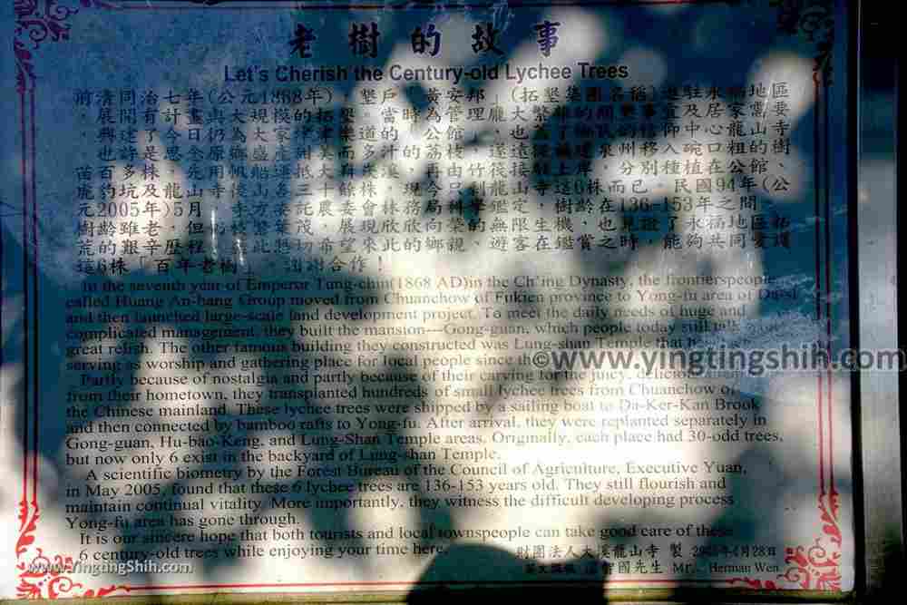YTS_YTS_20191006_桃園大溪龍山寺登山步道／六顆百年荔枝樹Taoyuan Daxi Longshan Temple Trail064_539A9583.jpg