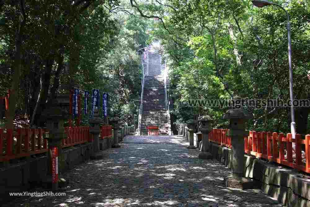 YTS_YTS_20180719_Japan Kansai Wakayama Kishu Toshogu Shrine日本關西（近畿）和歌山紀州東照宮016_3A5A3067.jpg