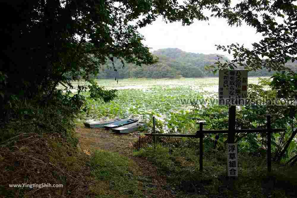 YTS_YTS_20190817_日本東北山形大山上池（拉姆薩公約登錄濕地）Japan Tohoku Yamagata Ohyama Kami-ike（Ramsar Wetland）029_539A9314.jpg