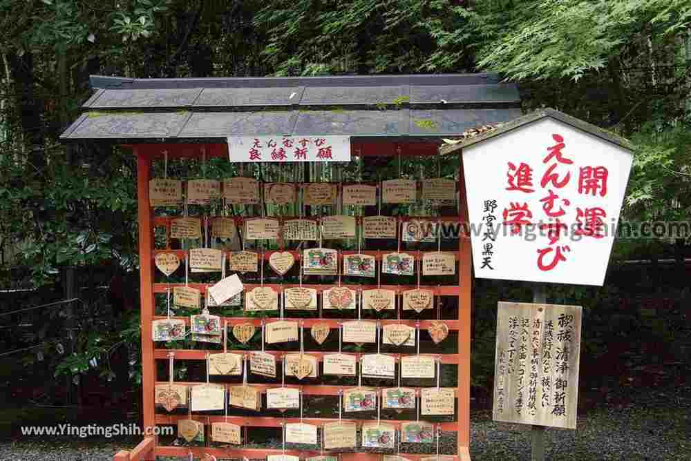 YTS_YTS_20180711_Japan Kansai Kyoto Arashiyama Bamboo Forest ／Nonomiya-Jinja Shrine 日本關西（近畿）京都嵐山竹林小徑、散策路／野宮神社047_3A5A3565.jpg
