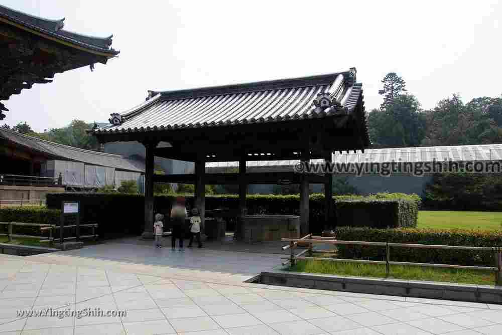 YTS_YTS_20180717_Japan Kansai Nara Todai-ji日本關西奈良東大寺／世界文化遺產131_3A5A8450.jpg