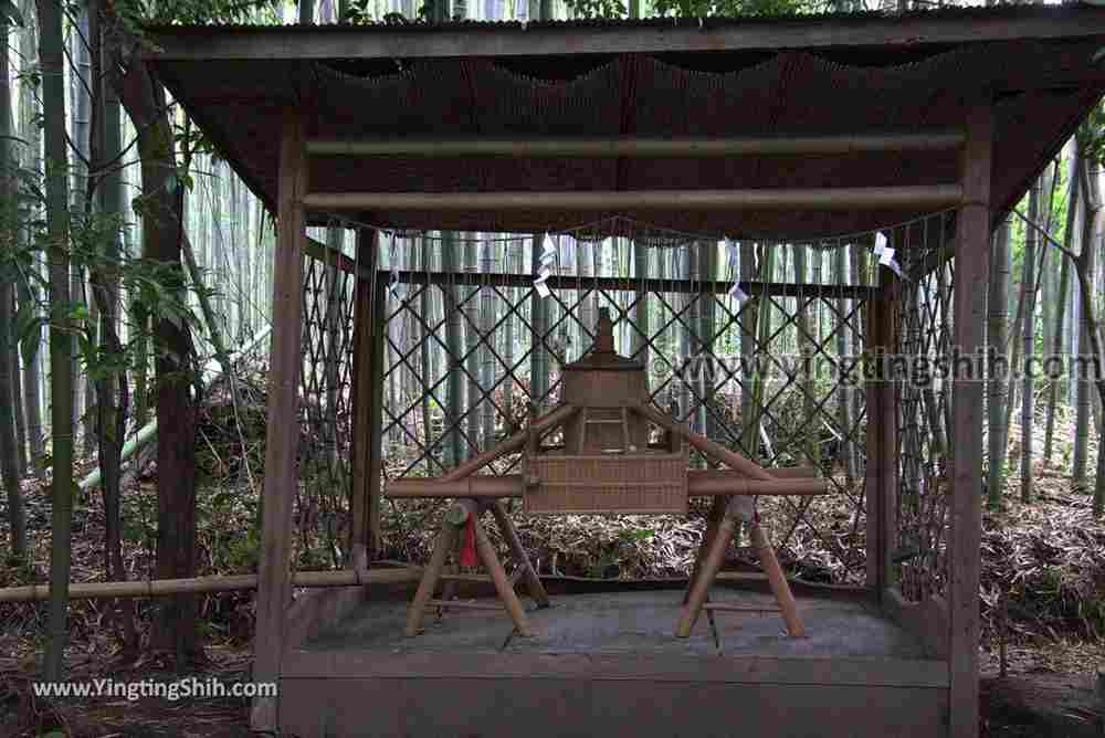 YTS_YTS_20180711_Japan Kansai Kyoto Arashiyama Bamboo Forest ／Nonomiya-Jinja Shrine 日本關西（近畿）京都嵐山竹林小徑、散策路／野宮神社036_3A5A3485.jpg