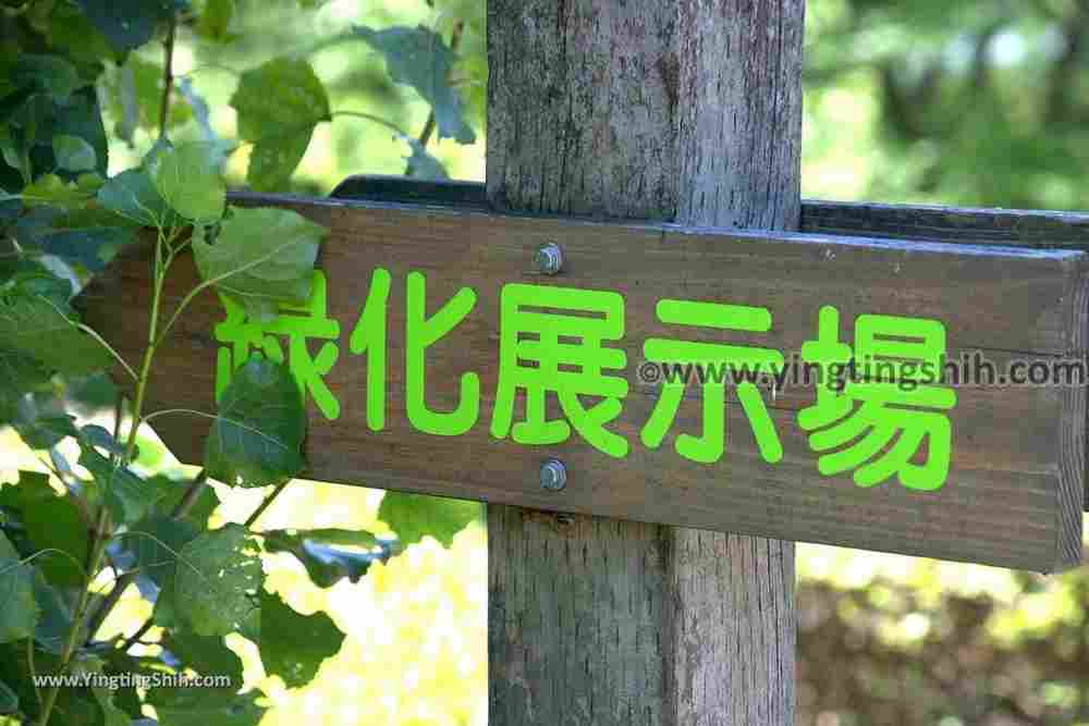 YTS_YTS_20190803_日本東北福島郡山文化公園（郡山カルチャーパーク）Japan Tohoku Fukushima Koriyama Culture Park038_539A0392.jpg