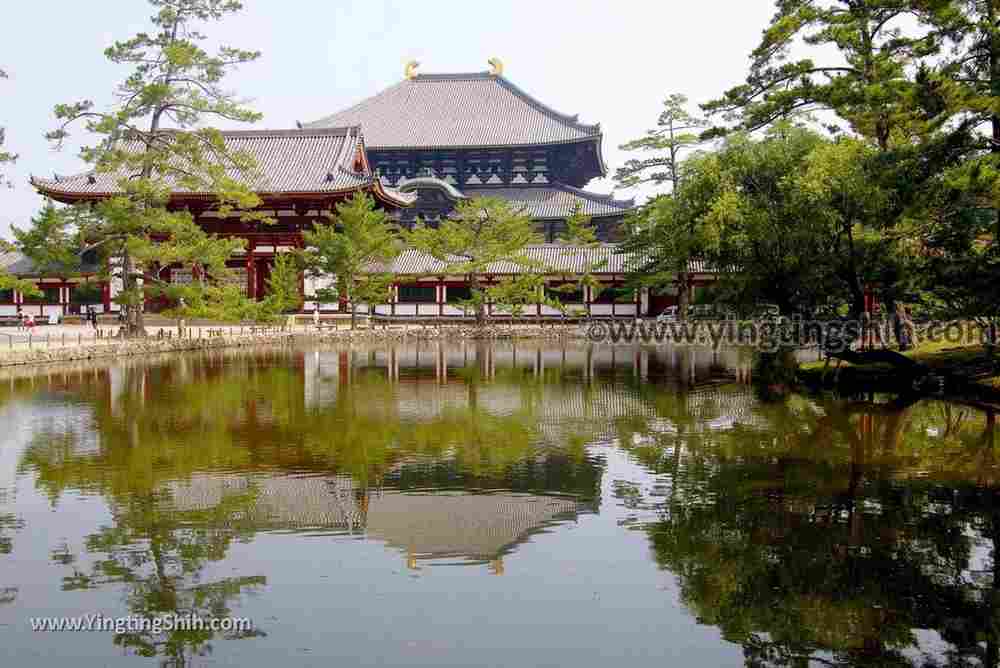 YTS_YTS_20180717_Japan Kansai Nara Todai-ji日本關西奈良東大寺／世界文化遺產066_3A5A7736.jpg
