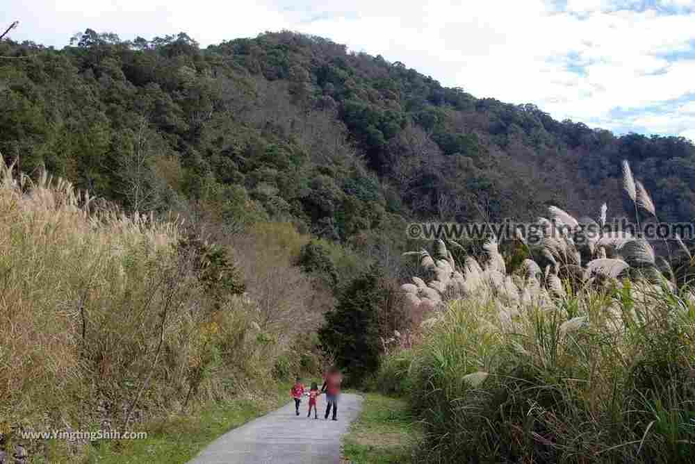 YTS_YTS_20190105_桃園復興塔曼山登山步道Taoyuan Fuxing Tamanshan Hiking Trail030_3A5A3382.jpg