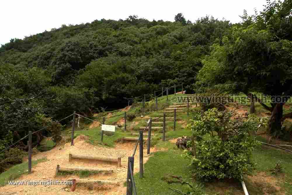 YTS_YTS_20180712_Japan Kyoto Arashiyama Monkey Park Iwatayama 日本京都嵐山猴子公園113_3A5A1046.jpg