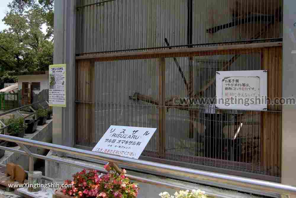 YTS_YTS_20180718_Japan Wakayama Park Zoo日本和歌山公園動物園（水禽園 ）／和歌山城童話園016_3A5A6510.jpg
