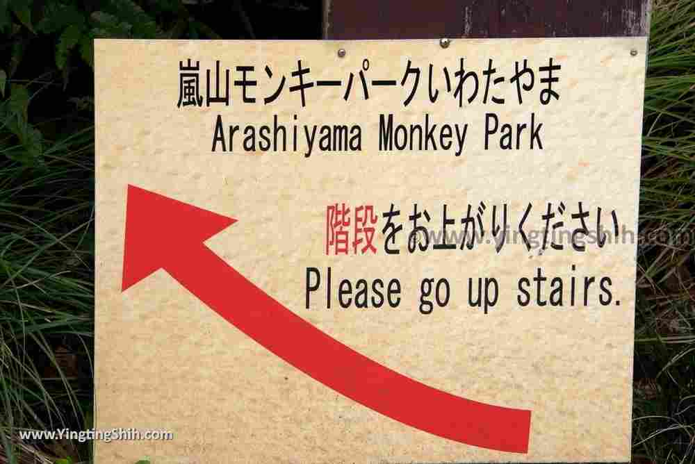 YTS_YTS_20180712_Japan Kyoto Arashiyama Monkey Park Iwatayama 日本京都嵐山猴子公園004_3A5A9534.jpg