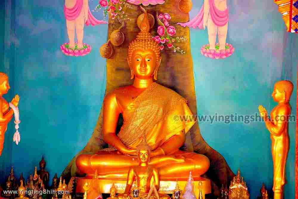 YTS_YTS_20200124_泰國北碧萬虎洞Thailand Kanchanaburi Wat Tham Seu029_539A3279.jpg