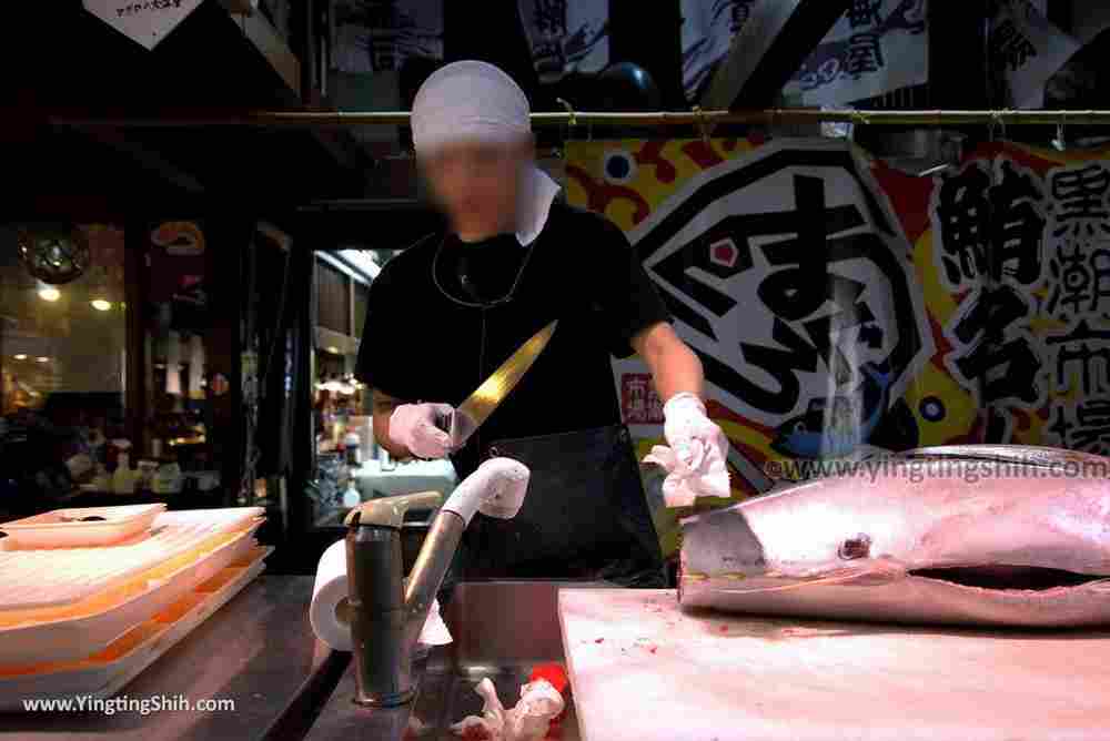 YTS_YTS_20180719_Japan Wakayama Kuroshio Market日本和歌山黒潮市場／金槍魚解體秀062_3A5A4216.jpg