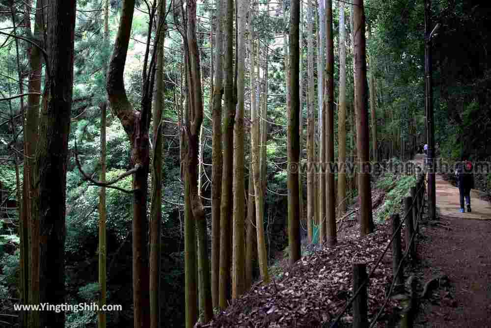 YTS_YTS_20180712_Japan Kyoto Arashiyama Monkey Park Iwatayama 日本京都嵐山猴子公園028_3A5A9681.jpg