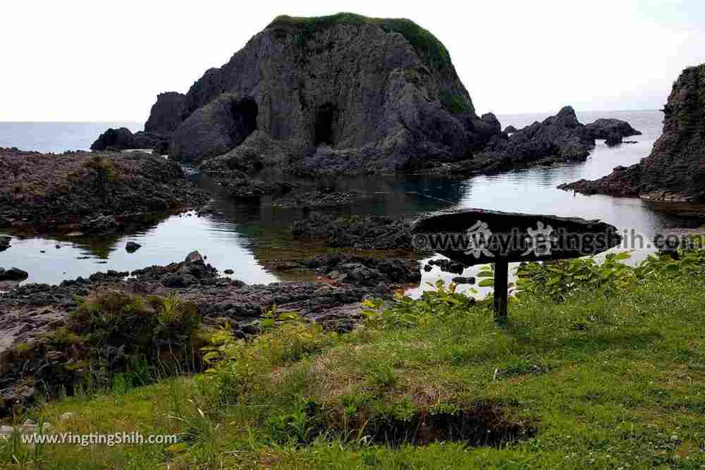 YTS_YTS_20190717_日本東北青森白神十二湖象岩Japan Tohoku Aomori Zoiwa／Elephant Rock013_539A7932.jpg