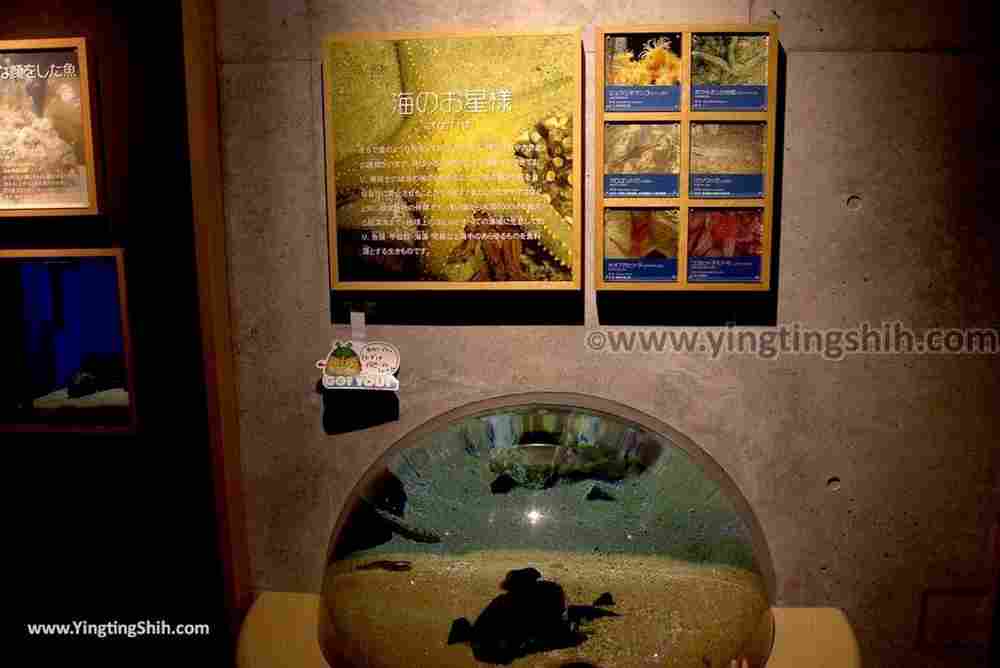 YTS_YTS_20180820_Japan Nagasaki Sasebo Kujukushima Aquarium Umi-kirara日本長崎佐世保九十九島水族館／日本最大水母交嚮樂廳074_3A5A3172.jpg