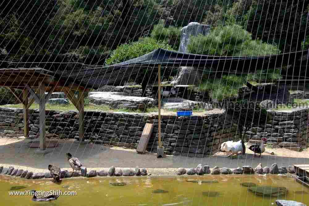 YTS_YTS_20180718_Japan Wakayama Park Zoo日本和歌山公園動物園（水禽園 ）／和歌山城童話園059_3A5A6390.jpg