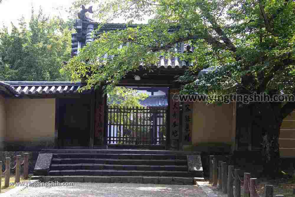 YTS_YTS_20180717_Japan Kansai Nara Todai-ji日本關西奈良東大寺／世界文化遺產046_3A5A7434.jpg