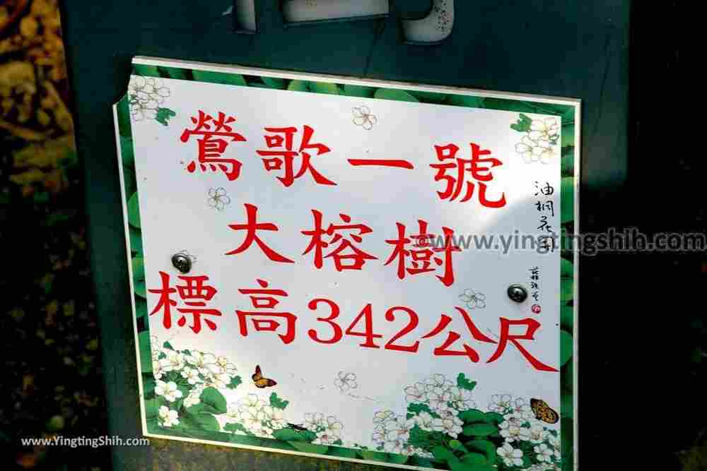 YTS_YTS_20190907_新北樹林百年榕樹／福源山步道New Taipei Shulin Centennial Old Banyan Tree061_539A3537.jpg