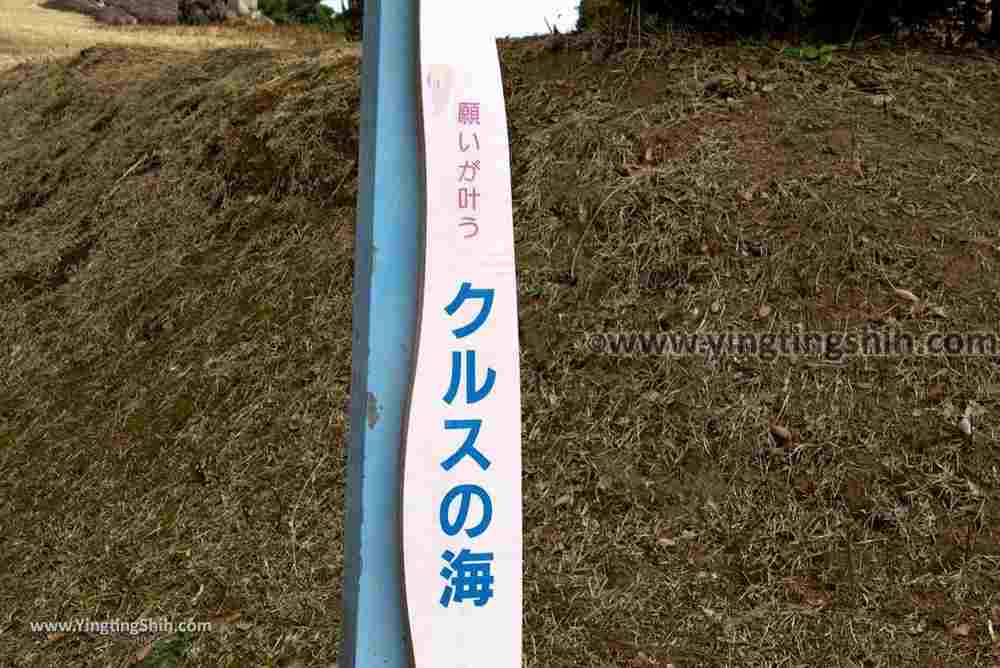 YTS_YTS_20190130_日本九州宮崎心願成真的十字海Japan Kyushu Miyazaki The Sea Cross Where Wishes Come True007_3A5A8771.jpg