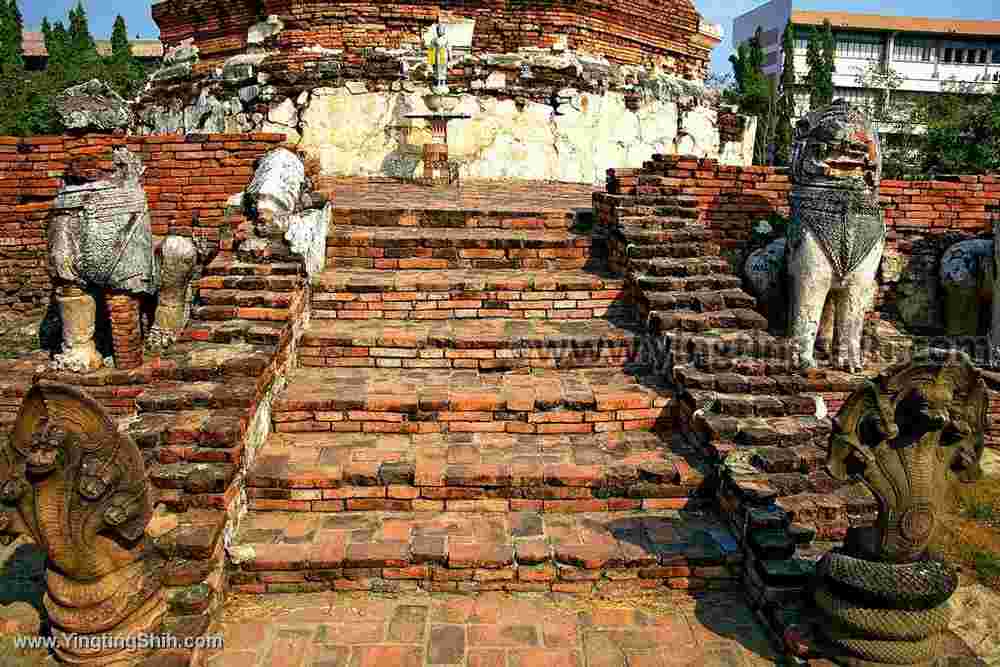 YTS_YTS_20200123_泰國大城塔米卡拉特寺／公雞廟Thailand Ayutthaya Wat Thammikarat066_539A1590.jpg