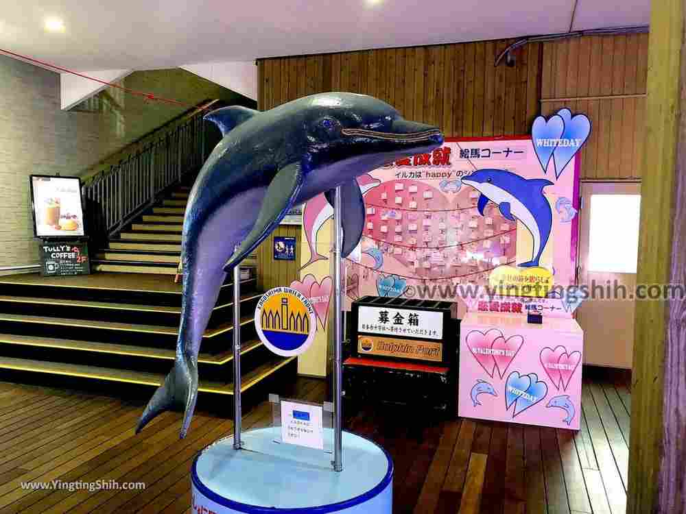 YTS_YTS_20190125_日本九州鹿兒島海豚灣購物中心／水岸公園Japan Kyushu Kagoshima Dolphin Port023_IMG_2675.jpg