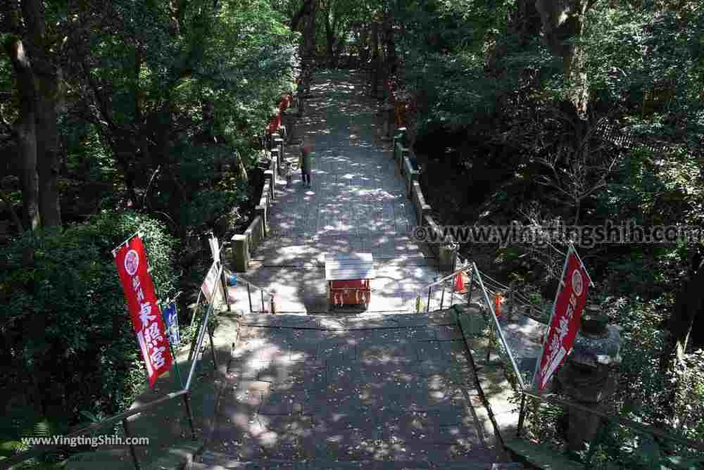 YTS_YTS_20180719_Japan Kansai Wakayama Kishu Toshogu Shrine日本關西（近畿）和歌山紀州東照宮028_3A5A3130.jpg