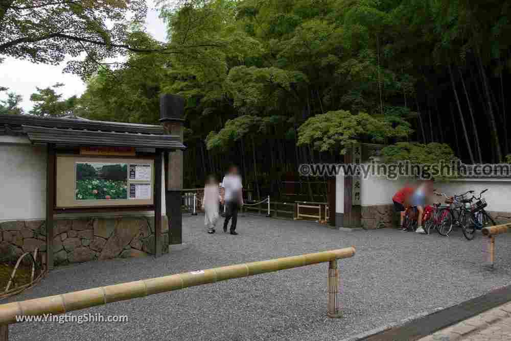 YTS_YTS_20180711_Japan Kansai Kyoto Arashiyama Bamboo Forest ／Nonomiya-Jinja Shrine 日本關西（近畿）京都嵐山竹林小徑、散策路／野宮神社005_3A5A3607.jpg