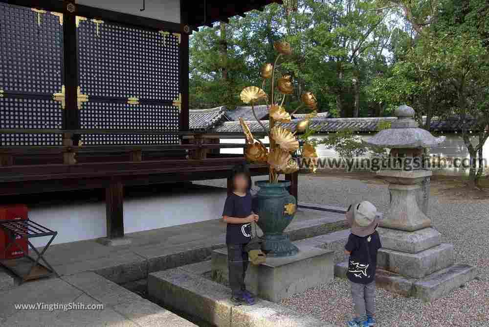 YTS_YTS_20180713_Japan Kansai Kyoto Ninna-ji 日本關西京都總本山仁和寺／世界文化遺產144_3A5A2056.jpg