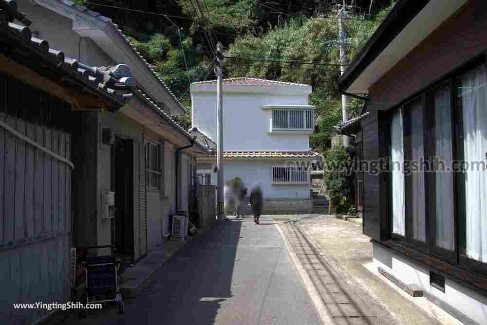 YTS_YTS_20180818_Japan Kyushu Nagasaki Habitat of Giant Mottled Eels日本九州長崎大鰻生息地／國指定天然記念物006_3A5A5753.jpg