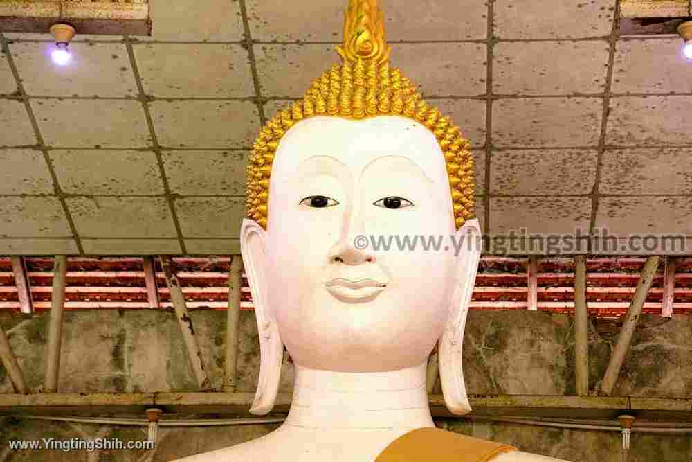 YTS_YTS_20200123_泰國大城塔米卡拉特寺／公雞廟Thailand Ayutthaya Wat Thammikarat045_539A1464.jpg