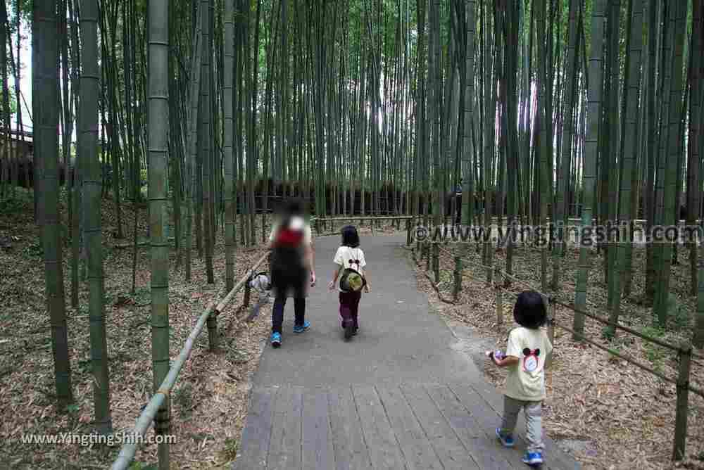 YTS_YTS_20180711_Japan Kansai Kyoto Arashiyama Bamboo Forest ／Nonomiya-Jinja Shrine 日本關西（近畿）京都嵐山竹林小徑、散策路／野宮神社063_3A5A7459.jpg