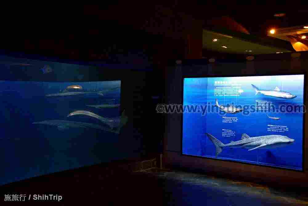 YTS_YTS_20210813_屏東車城國立海洋生物博物館215.jpg