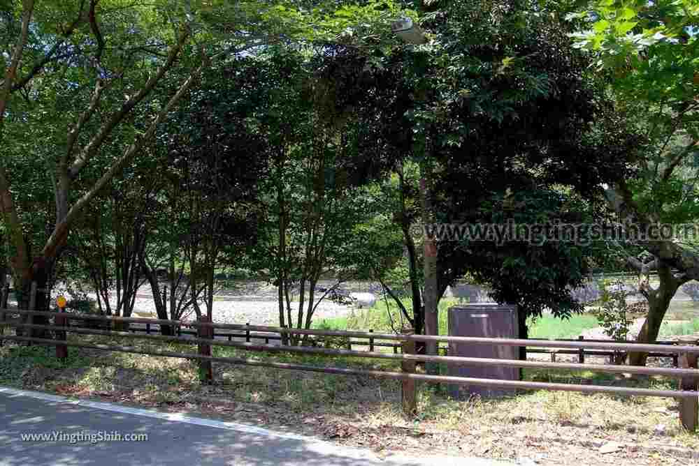 YTS_YTS_20180720_日本關西和歌山市森林公園Japan Kansai Wakayama Hitotoshizennofureai Koen Forest Park021_3A5A7124.jpg