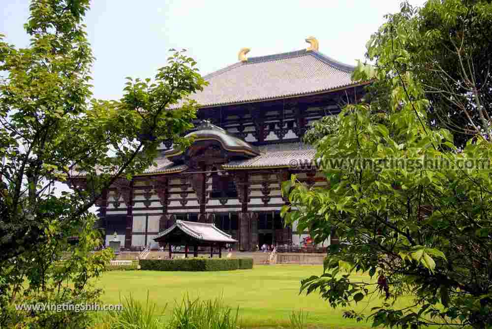 YTS_YTS_20180717_Japan Kansai Nara Todai-ji日本關西奈良東大寺／世界文化遺產177_3A5A9533.jpg
