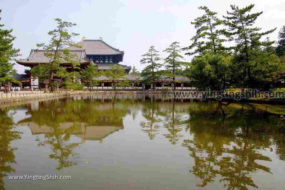 YTS_YTS_20180717_Japan Kansai Nara Todai-ji日本關西奈良東大寺／世界文化遺產065_3A5A7761.jpg