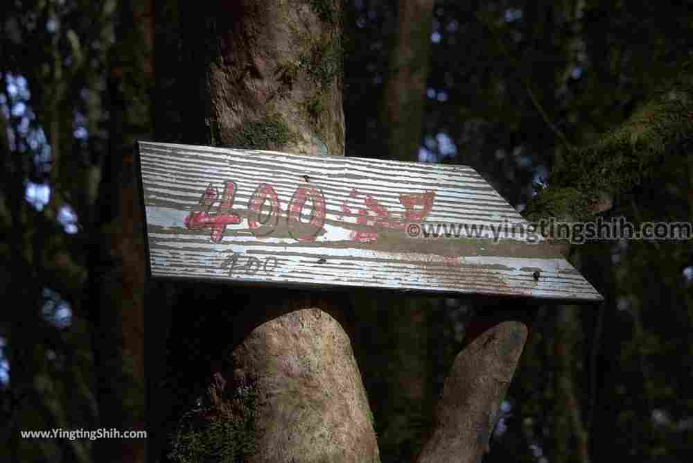 YTS_YTS_20190105_桃園復興塔曼山登山步道Taoyuan Fuxing Tamanshan Hiking Trail063_3A5A3663.jpg