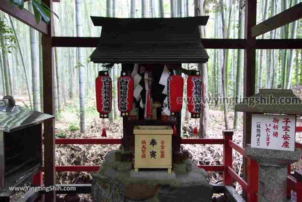 YTS_YTS_20180711_Japan Kansai Kyoto Arashiyama Bamboo Forest ／Nonomiya-Jinja Shrine 日本關西（近畿）京都嵐山竹林小徑、散策路／野宮神社040_3A5A3544.jpg