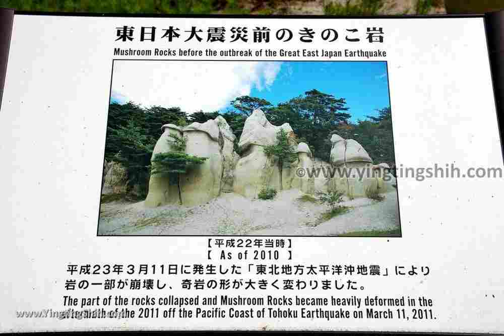 YTS_YTS_20190813_日本東北福島蘑菇岩／浄土松公園Japan Tohoku Fukushima Mushroom Rock／Jodomatsu Park053_539A0466.jpg