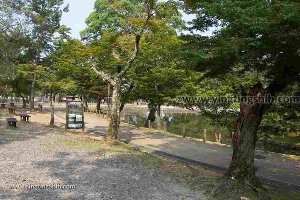 YTS_YTS_20180717_Japan Kansai Nara Todai-ji日本關西奈良東大寺／世界文化遺產062_3A5A7689.jpg
