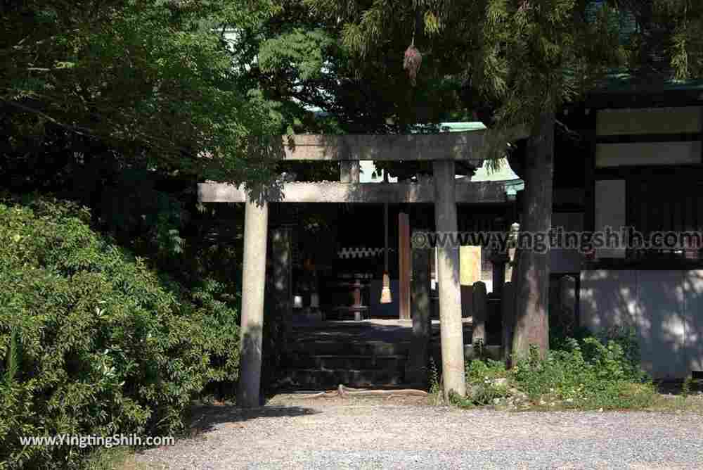 YTS_YTS_20180723_Japan Osaka Hokoku Shrine日本大阪豊國神社003_3A5A0191.jpg