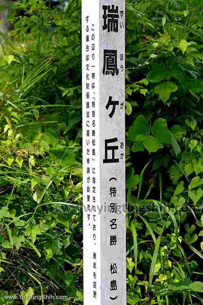 YTS_YTS_20190731_日本東北宮城松島／瑞鳳ヶ丘Japan Tohoku Miyagi Matsushima Treasure Hill002_539A3082.jpg