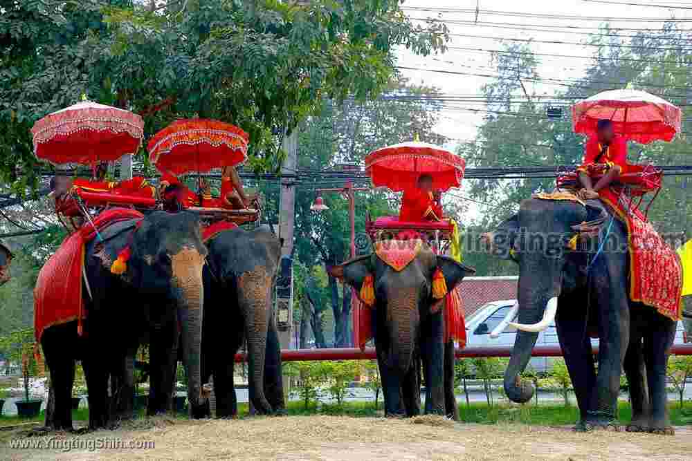 YTS_YTS_20200122_泰國大城大象園／阿瑜陀耶古城Thailand Ayutthaya016_539A9173.jpg