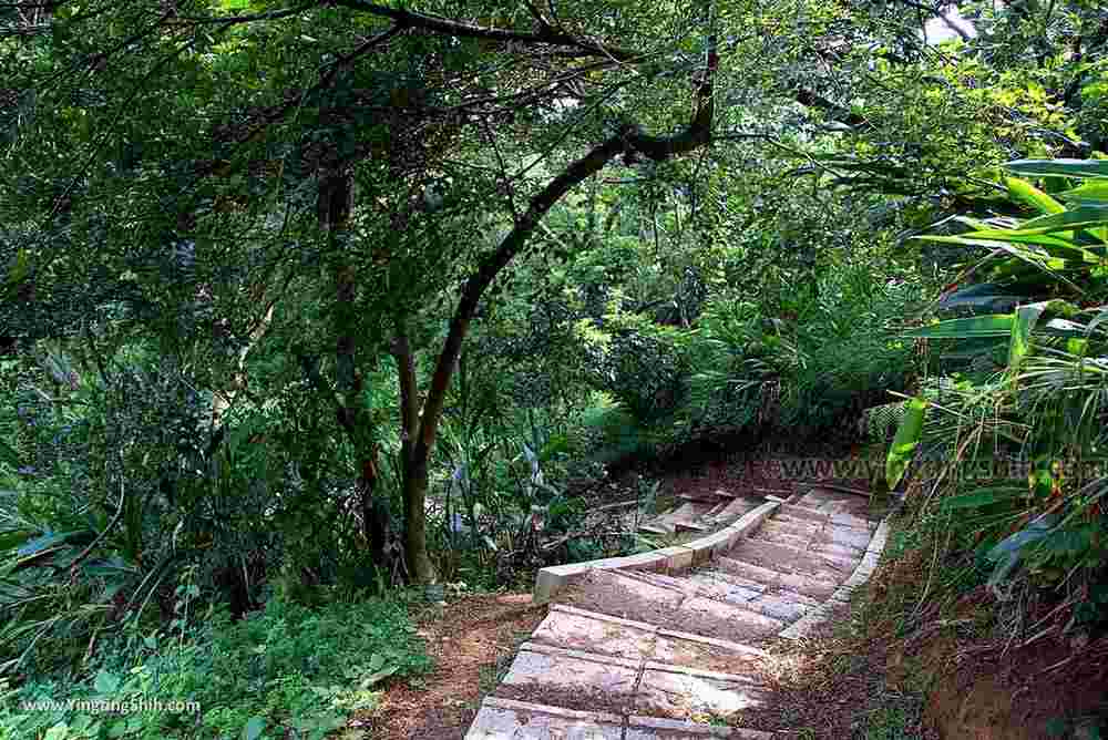 第0415篇 新竹竹北 蓮花寺步道 鳳崎步道 蓮花寺 蓮花公園ｘ影像導覽 Hsinchu Lian Hua Lotus Temple Fengqi Sunset Trail X Taiwan Tourist Attractions Image Navigation 施旅行 旅遊景點影像導覽計畫