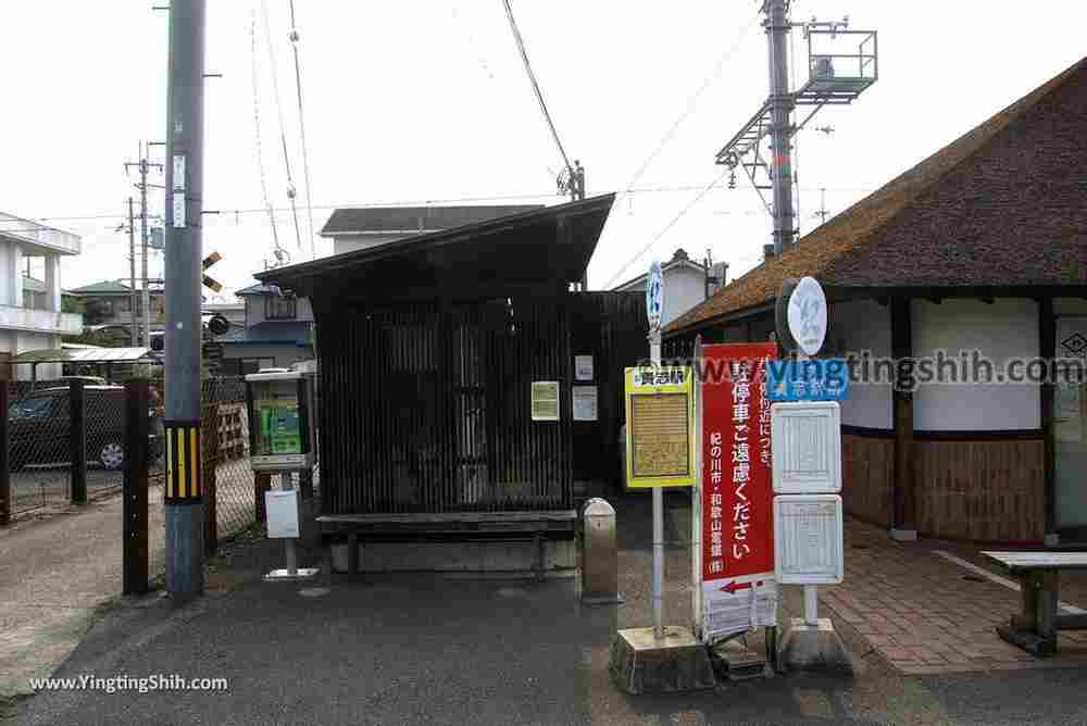 YTS_YTS_20180717_Japan Kansai Wakayama Kishi Station／Tama Museum／Cat日本關西（近畿）和歌山貴志駅／小玉車站004_3A5A1705.jpg