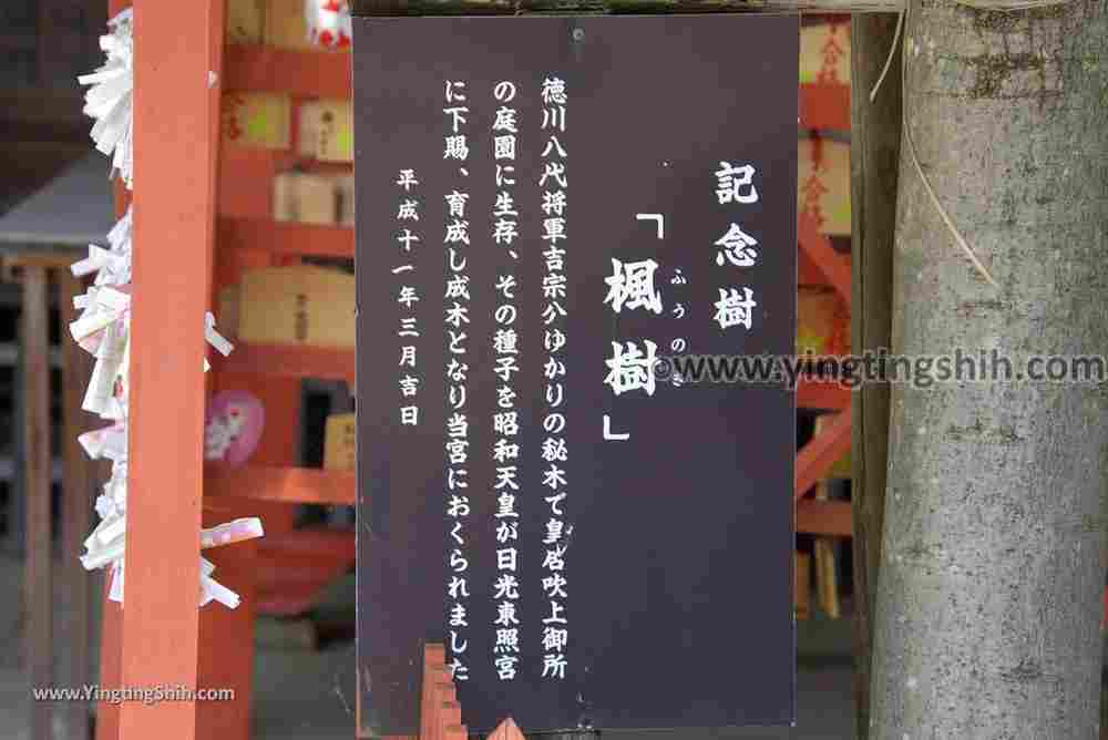 YTS_YTS_20180719_Japan Kansai Wakayama Kishu Toshogu Shrine日本關西（近畿）和歌山紀州東照宮038_3A5A3210.jpg