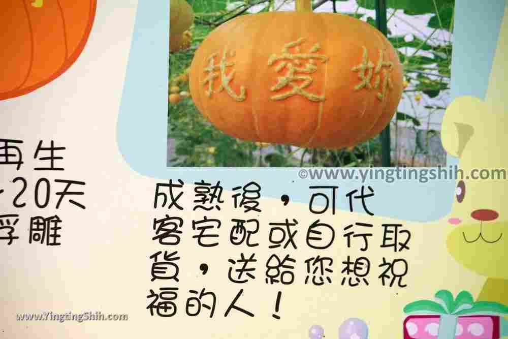 YTS_YTS_20190525_宜蘭壯圍旺山休閒農場／主題南瓜園Yilan Zhuangwei Pumpkin Farm118_539A4562.jpg