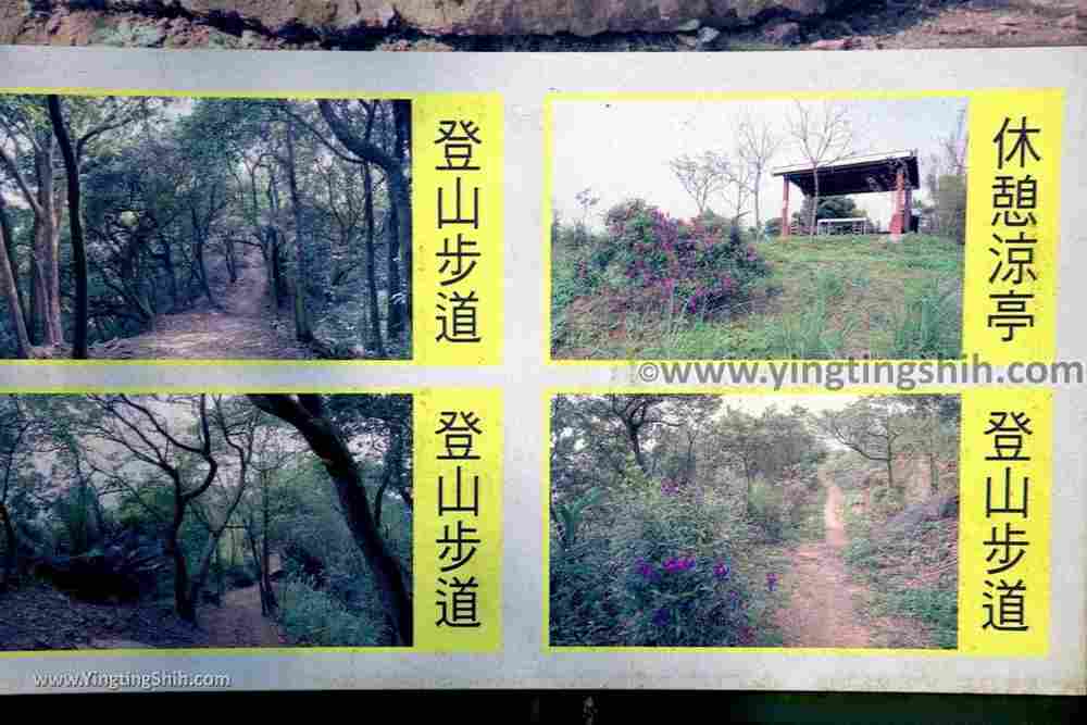 YTS_YTS_20190907_新北樹林百年榕樹／福源山步道New Taipei Shulin Centennial Old Banyan Tree059_539A3535.jpg
