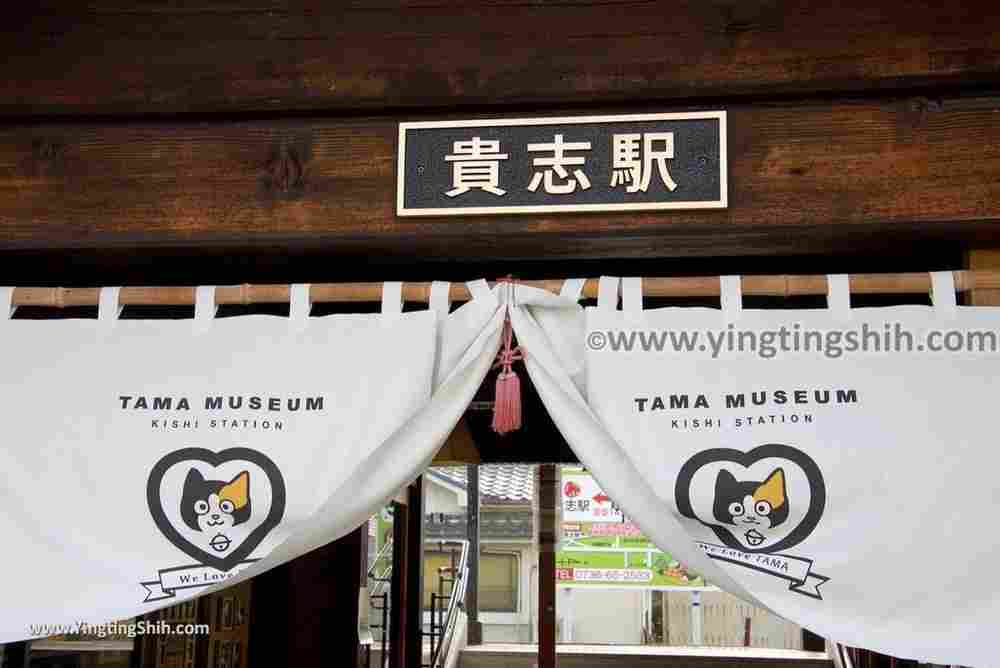 YTS_YTS_20180717_Japan Kansai Wakayama Kishi Station／Tama Museum／Cat日本關西（近畿）和歌山貴志駅／小玉車站018_3A5A1781.jpg